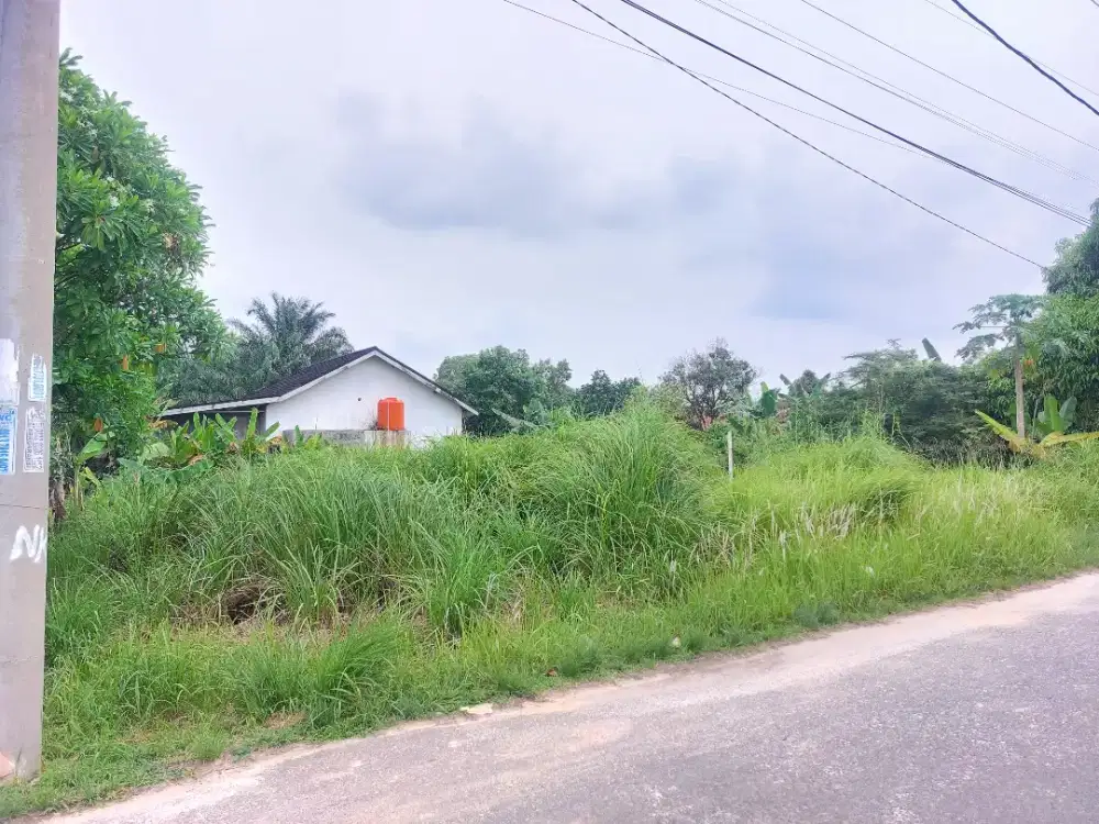 Dijual tanah lokasi jalan pramuka rumbai pekanbaru