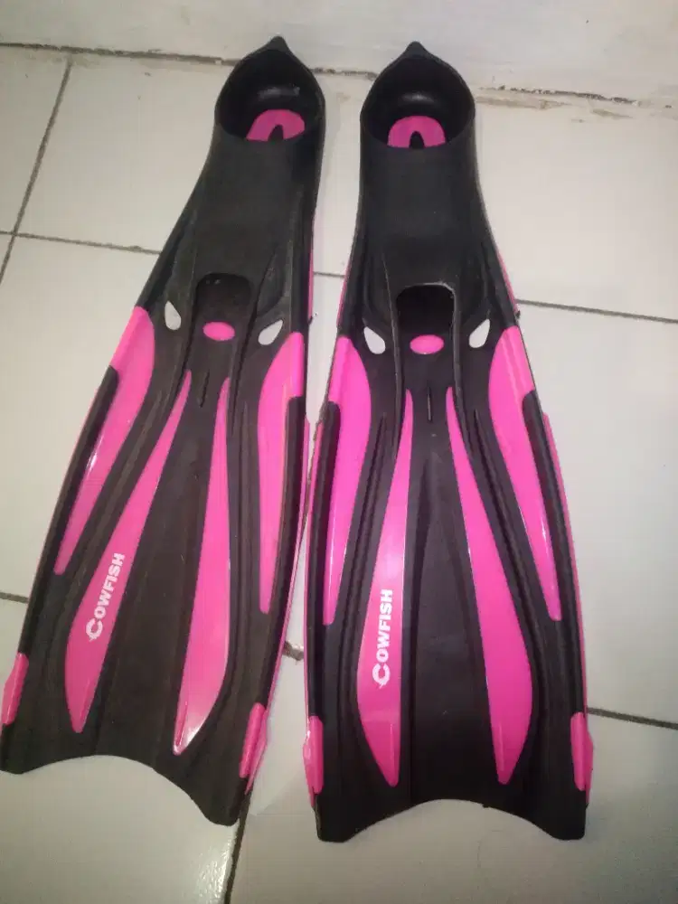 Fins diving cowfish