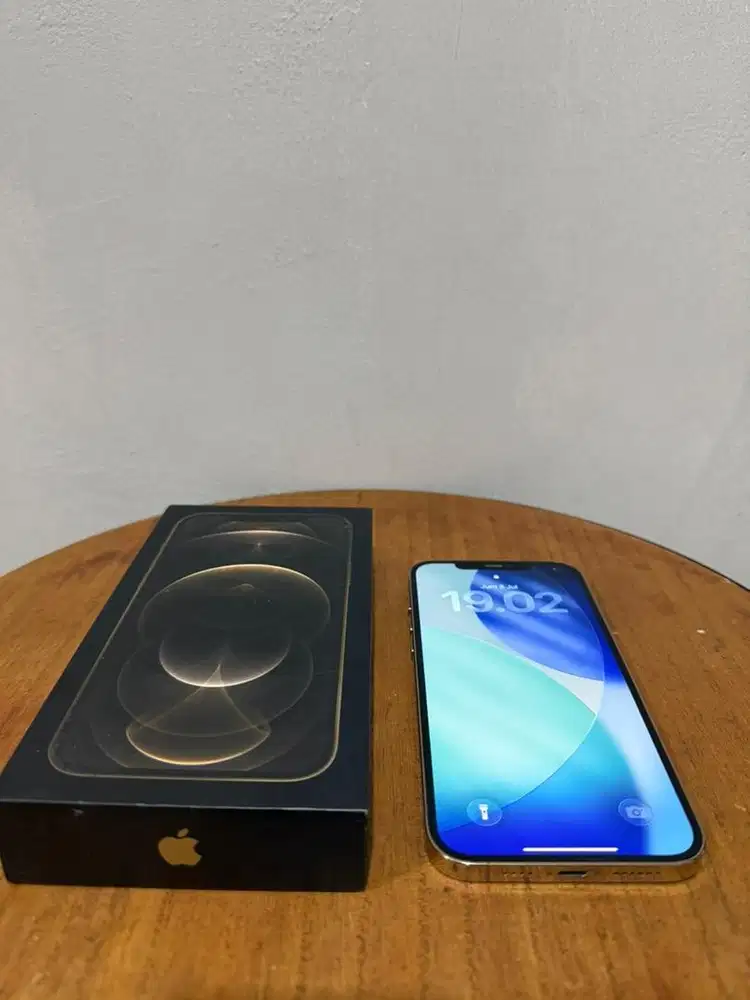 Iphone 12 Pro Max 256gb Resmi Bea Cukai