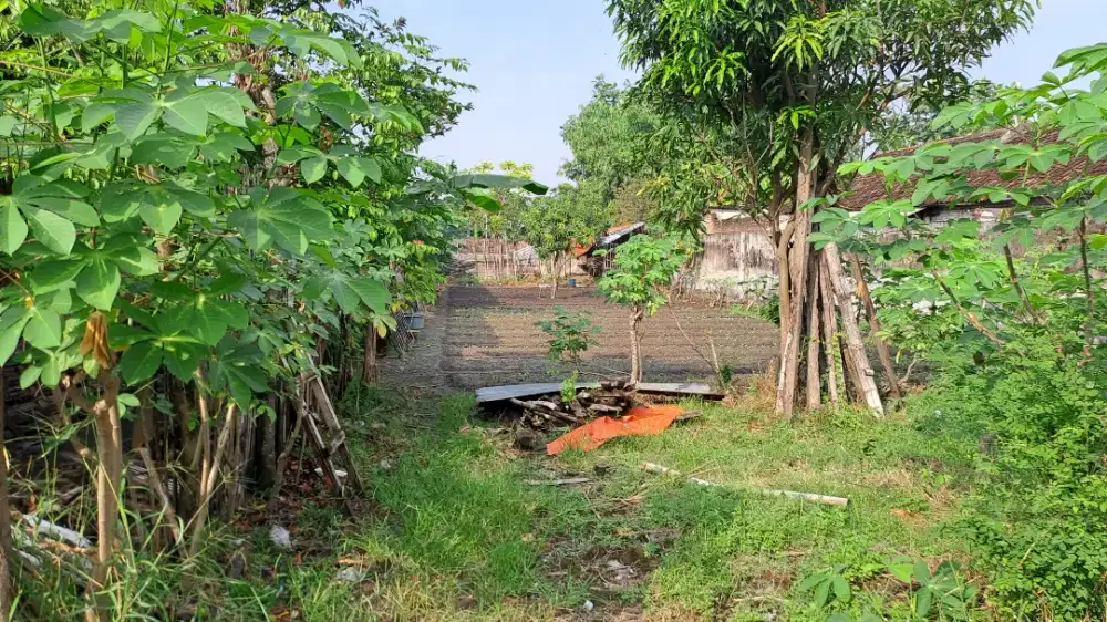Dijual lahan pribadi
