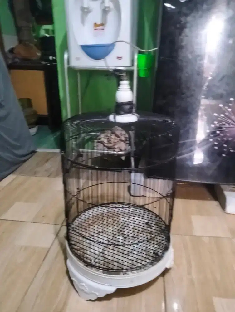 Kandang burung borongan / satuan