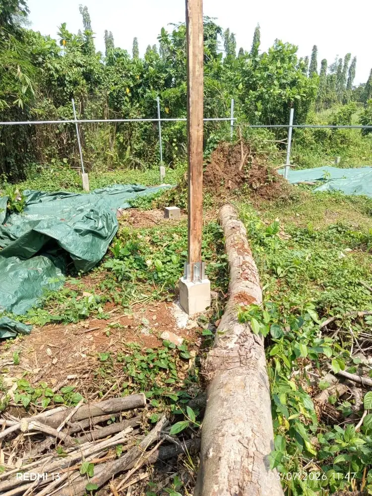 Kenek Proyek dan Kebun