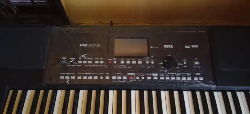 Dijual korg pa300