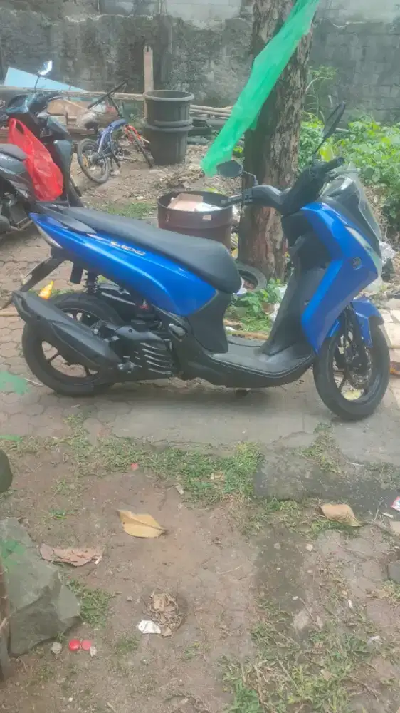 Honda lexy 2019