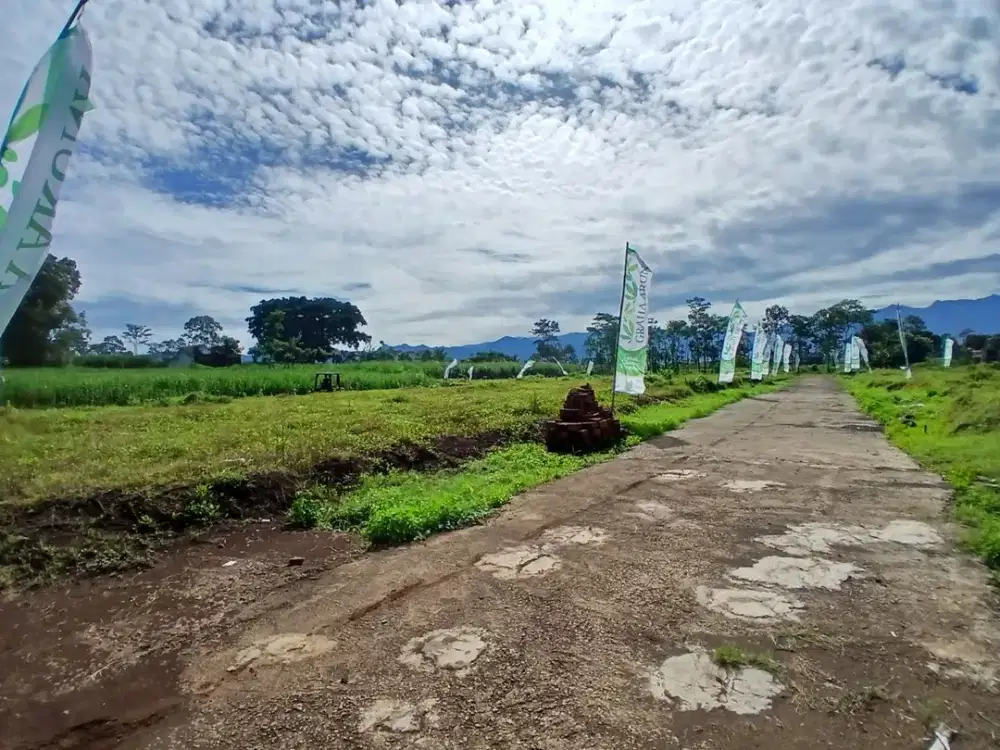 Tanah Dijual di Pakis Malang, Dekat Exit Tol dan Bandara
