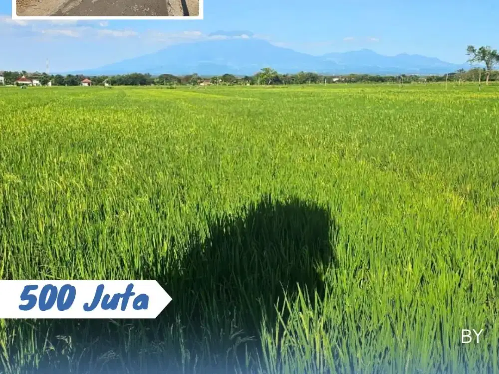 Dijual Tanah Pertanian Sawah Lokasi Macanan Kebakramat