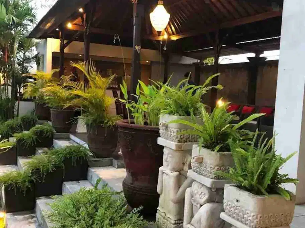 Villa + Restaurant for sale - Thumbnail 2