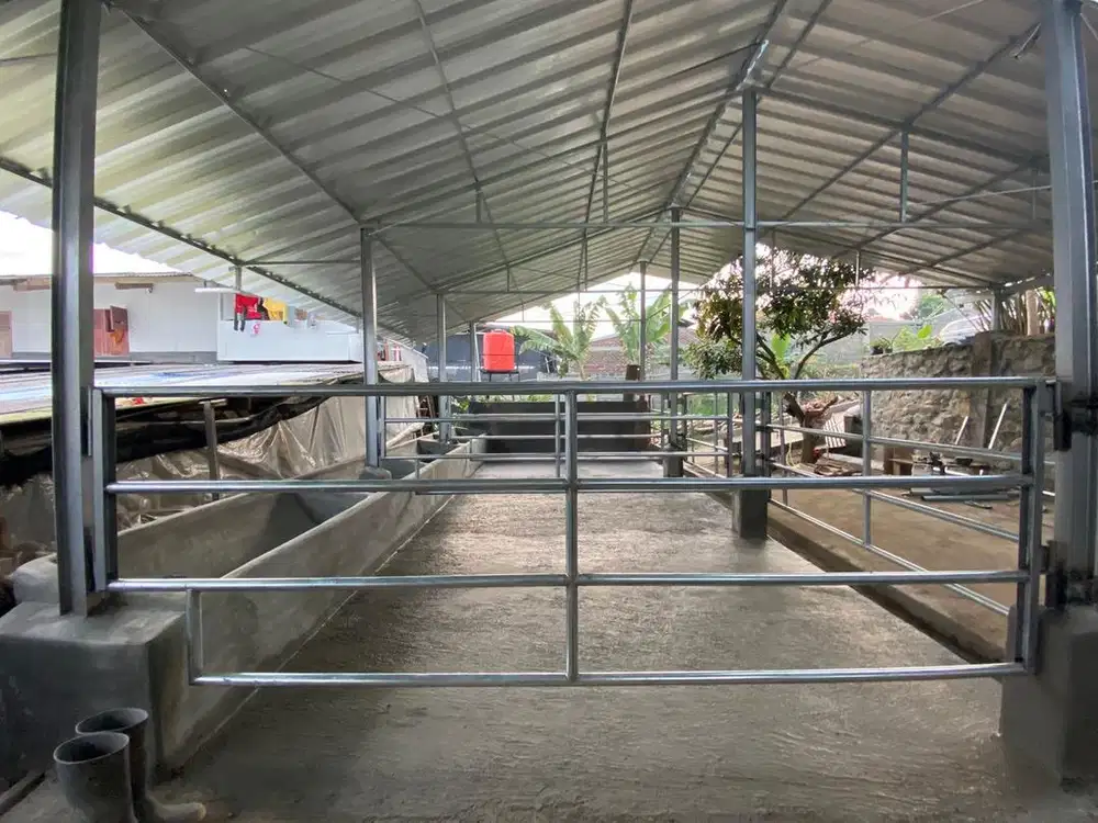 Kandang kambing baja ringan terpasang murah