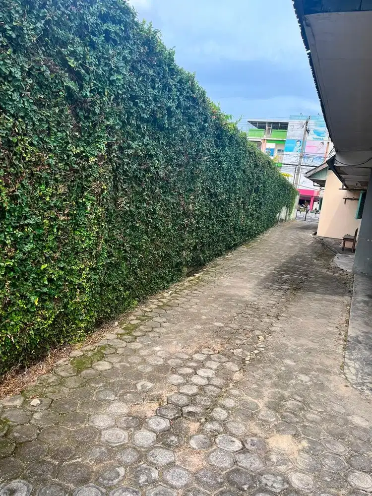 di sewa kan rumah luas bersih cocok untuk usah cafe kantor dan rumah