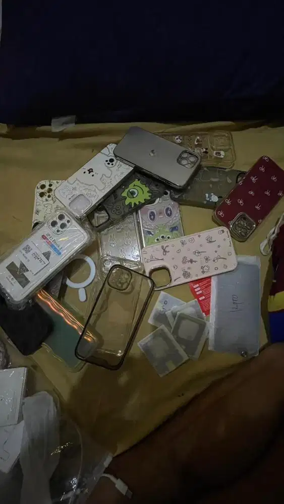 Case ip 12pro/13