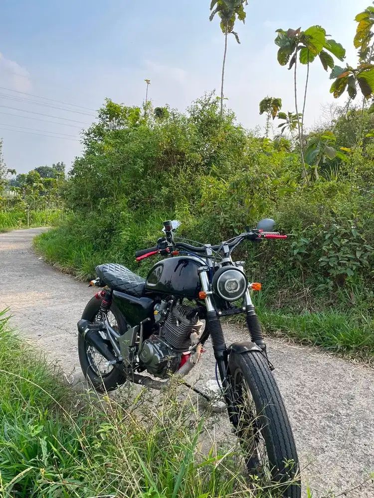 Honda Tiger 200 Custom