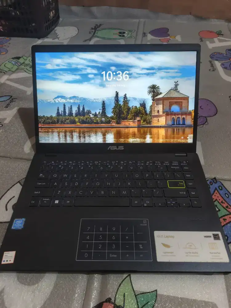 Asus Vivobook Celeron N4020 4/256GB