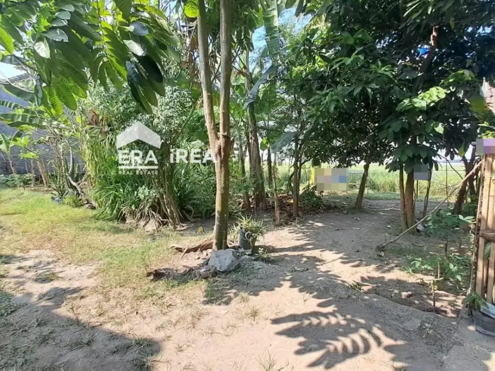 Tanah Dijual di Jogja Dekat Terminal Giwangan dan Universitas Ahmad Dahlan