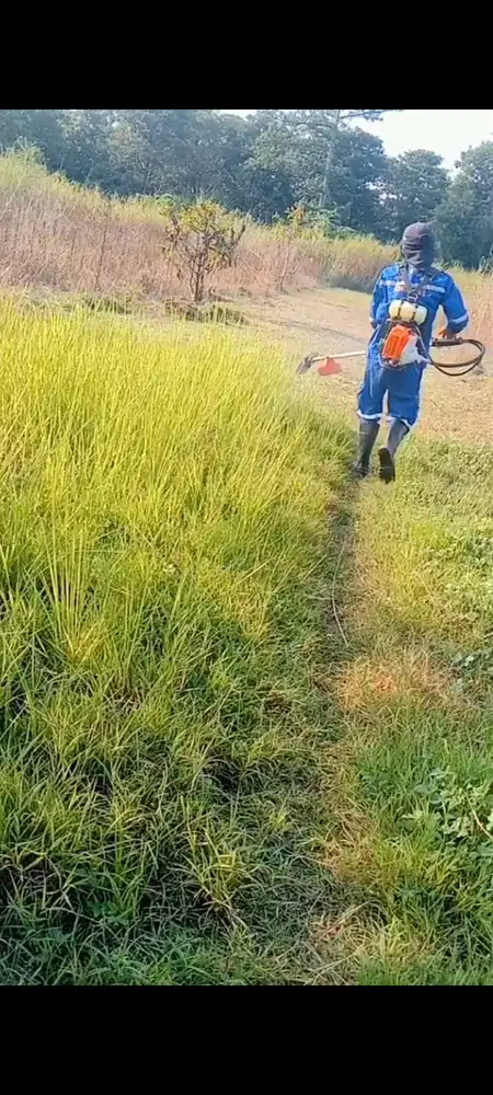 Jasa potong rumput taman dan rumput liar