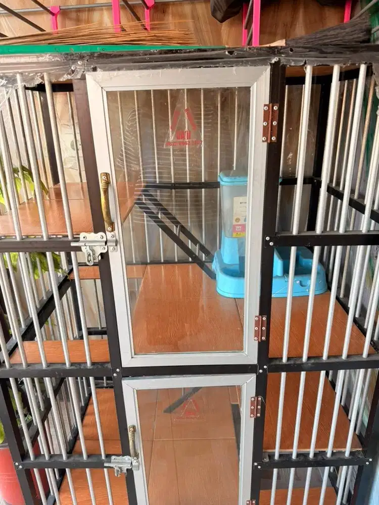 Kandang kucing 2lantai keramik