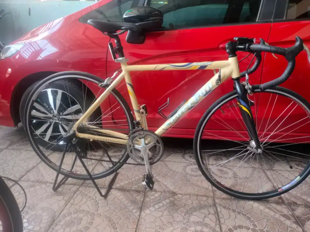 Jual Sepeda Roadbike