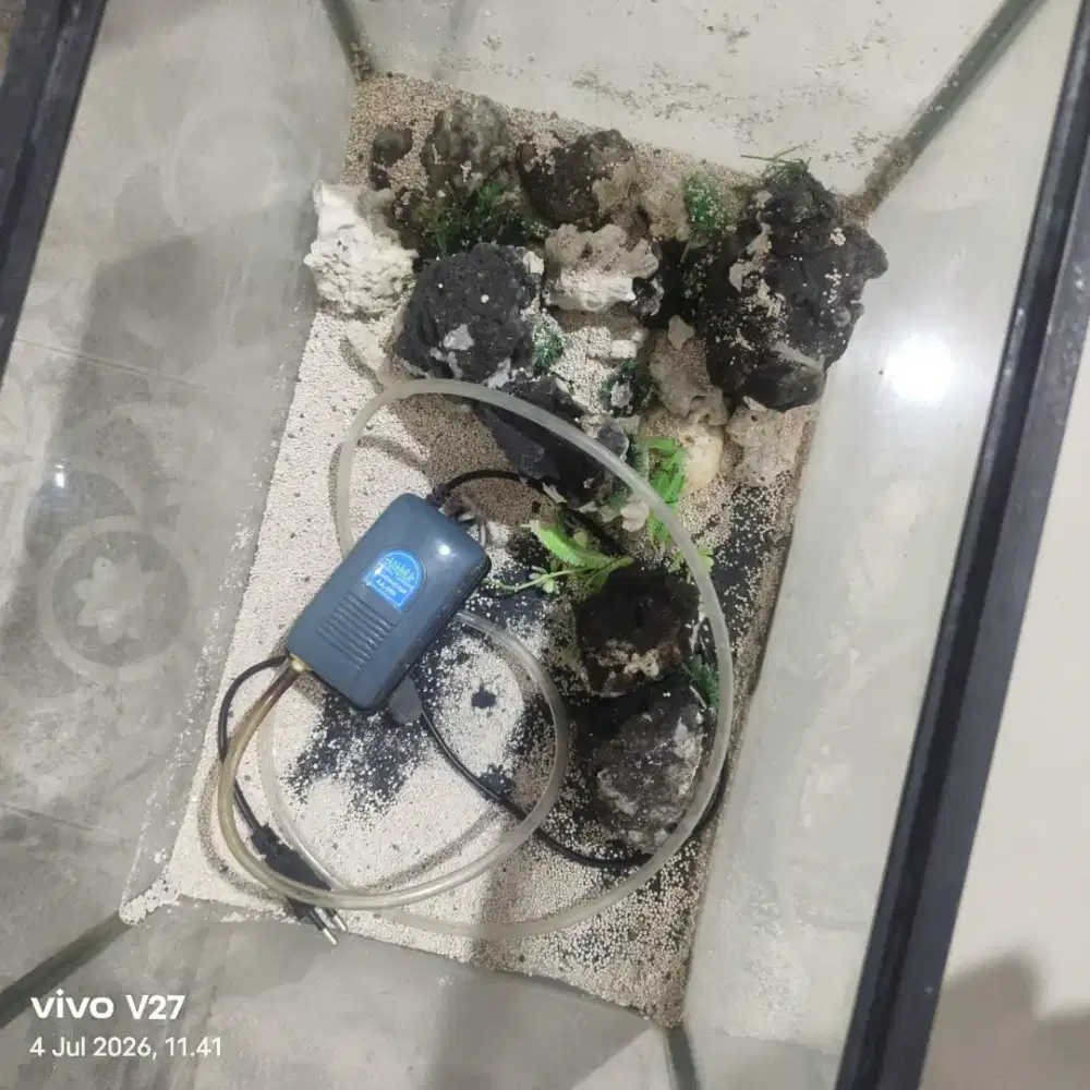 Dijual Aquarium Gratis Air Pump Oksigen
