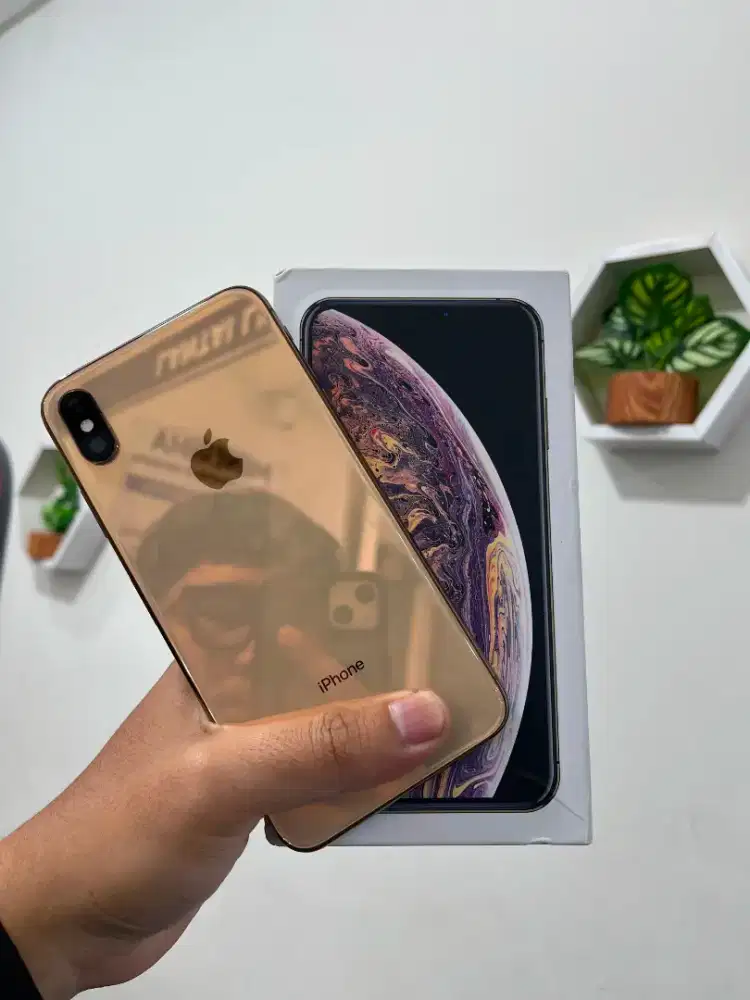Iphone XS Max 256 Rose Gold inter lama