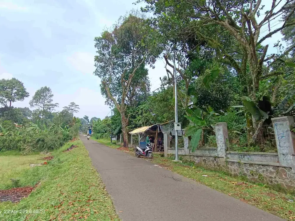 Dijual Kebun Siap Pakai Full Datar  – Sudah Dipagar & Pondasi, Banyak Pohon Produktif,