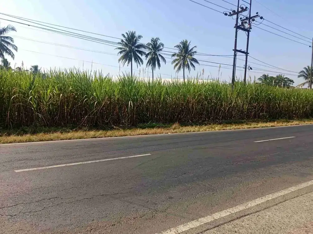 TANAH STRATEGIS COCOK UNTUK PERGUDANGAN LOKASI BULULAWANG MALANG JAWA TUMUR