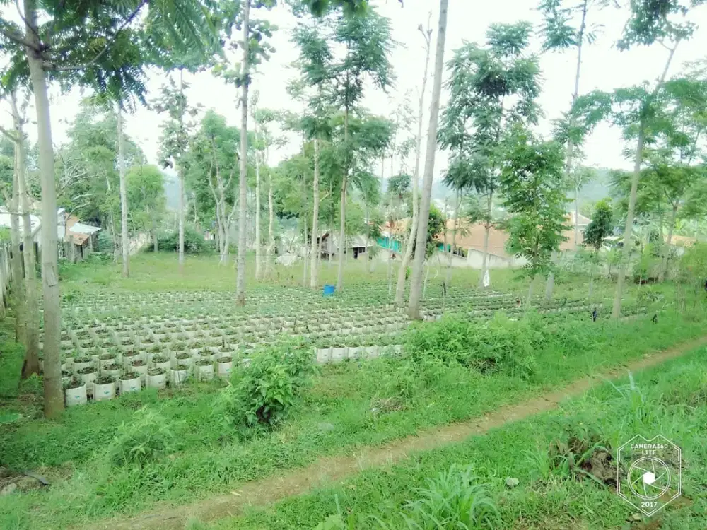 JUAL TANAH MURAH SEBELAH WADUK CIRATA, COCOK UNTUK KOMERSIAL DLL, NEGO KERAS