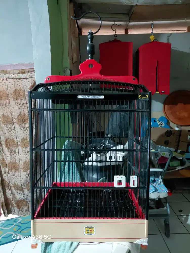 Sangkar oiq no 2