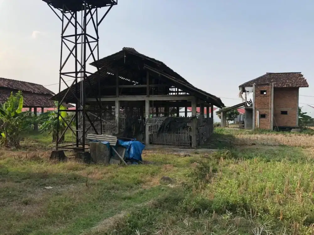 Tanah Darat luas 3.667m2 SHM di cibarusah kab. Bekasi-langsung pemilik