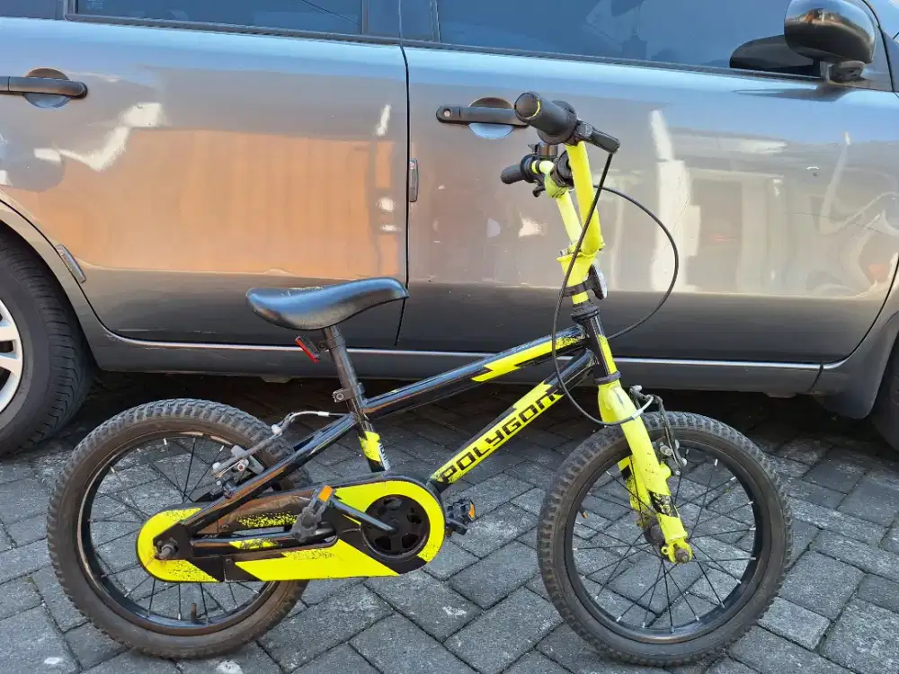 Polygon Crosser 16 inch