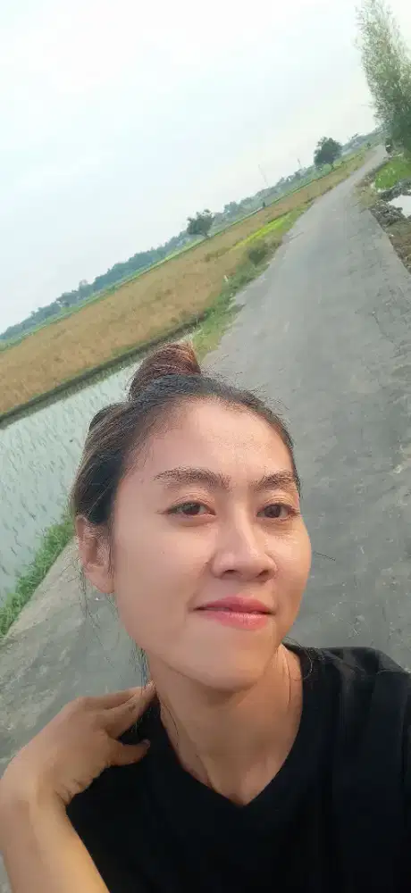 cari art daerah medan sunggal