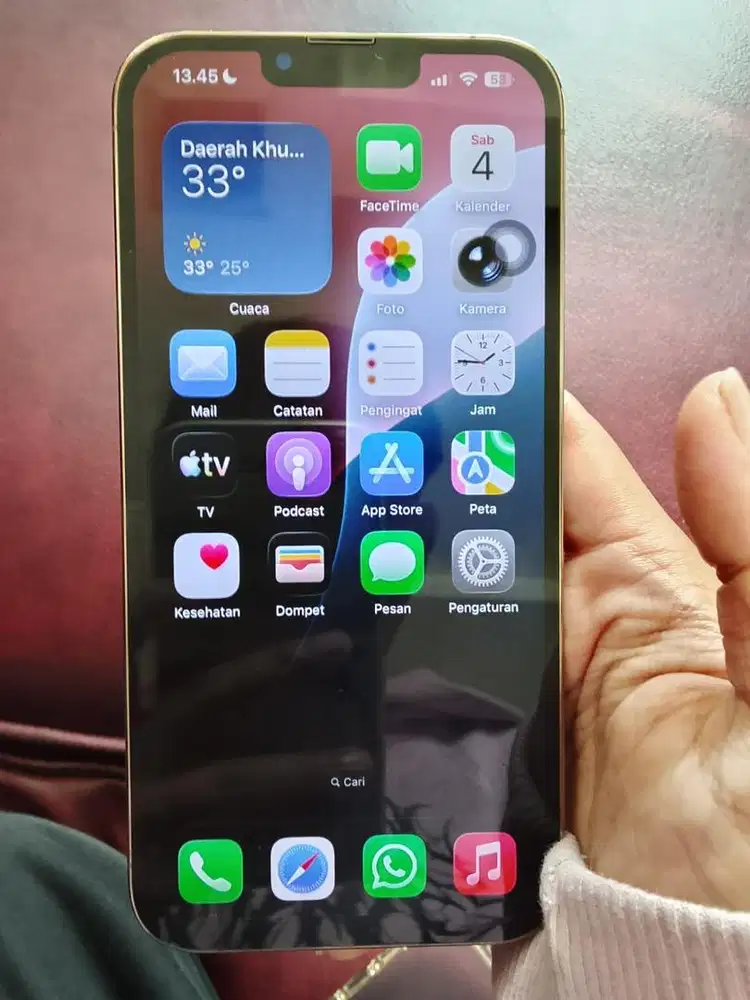 Jual Iphone 13 pro max