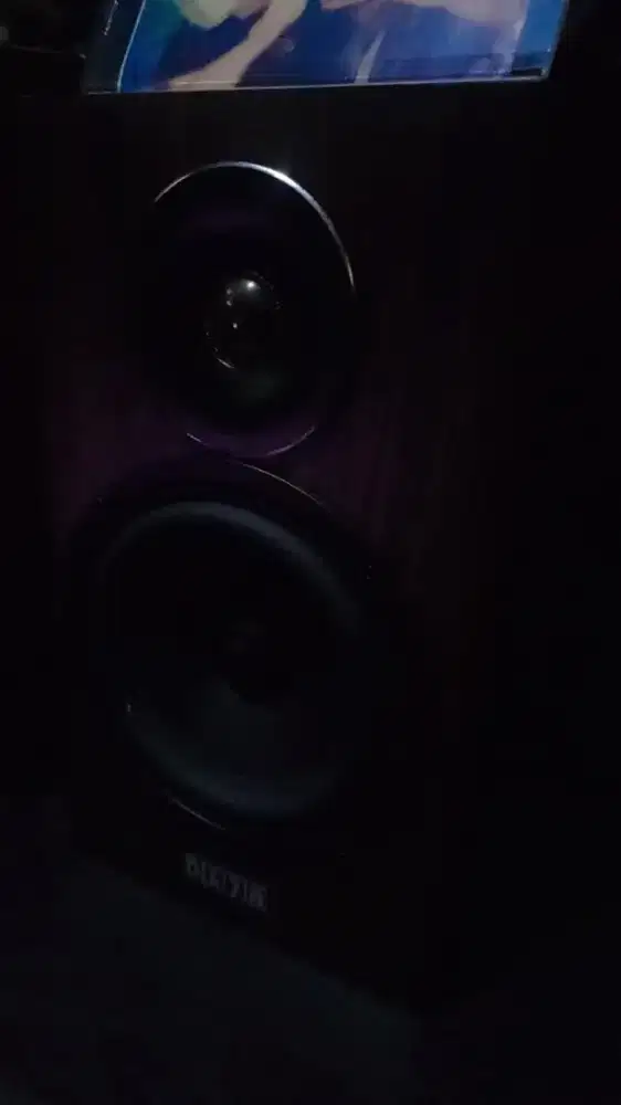 Ds7a speaker dolphin