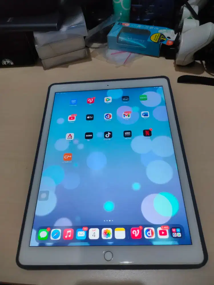 iPad Pro 12.9 inch mulus