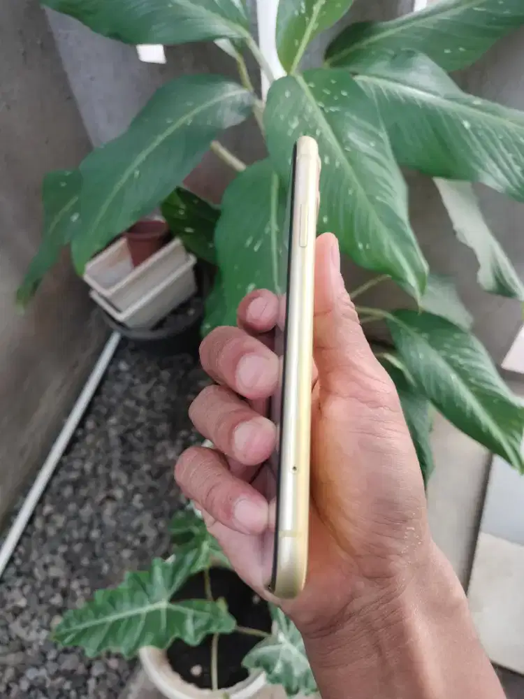 Iphone 11 64gb ex inter