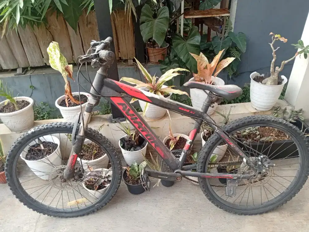 Dijual sepeda aviator