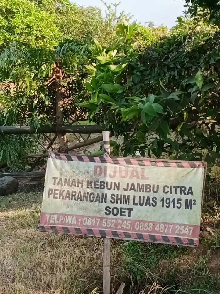 Tanah Kering Pinggir Jalan Nasional Pati