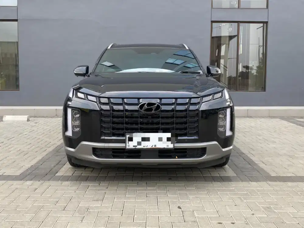 [CASH] Palisade Signature 2023 2.2D