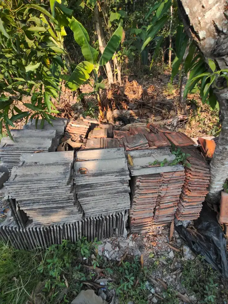 Genteng kodok dan beton