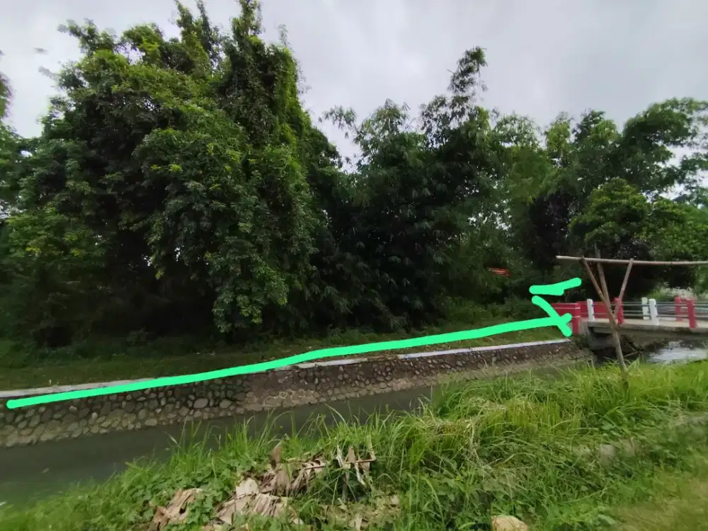 Tanah pekarangan