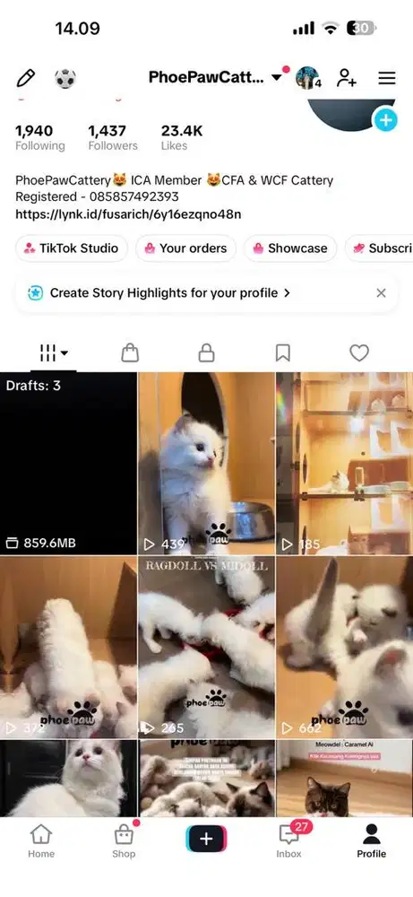 Ragdoll Ras Murni