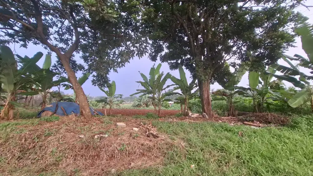 Tanah Kavling di jual / di sewakan