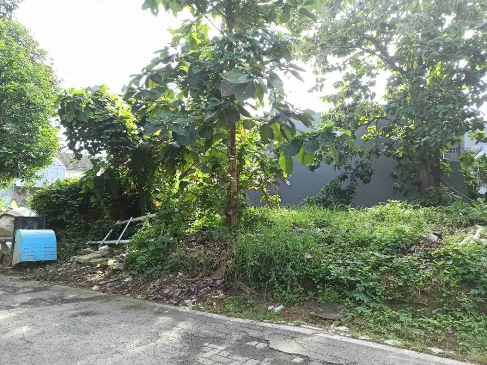 Tanah dekat Undip cocok untuk kos