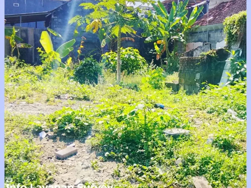 1km Dari Kampus UII Kaliurang Tanah Jogja Area Kost Eklsusife