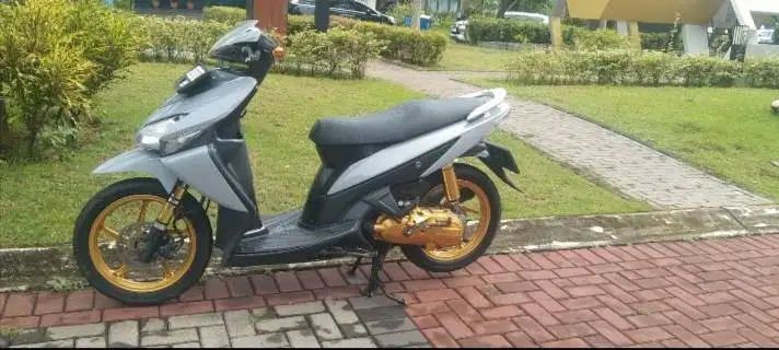 Vario 2011 normal