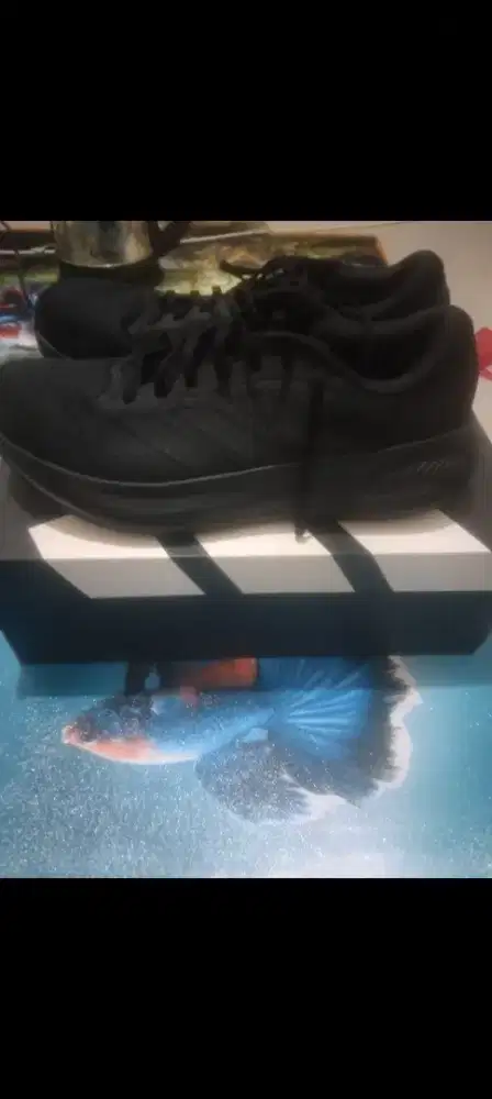 Sepatu Adidas ori