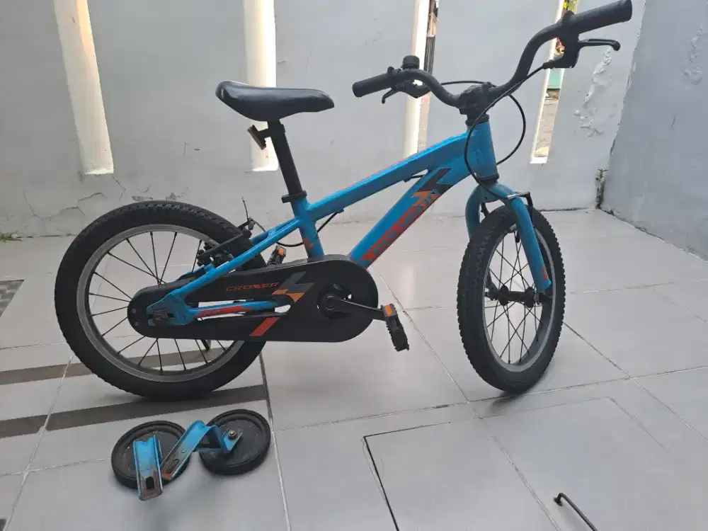 Polygon Crosser 16