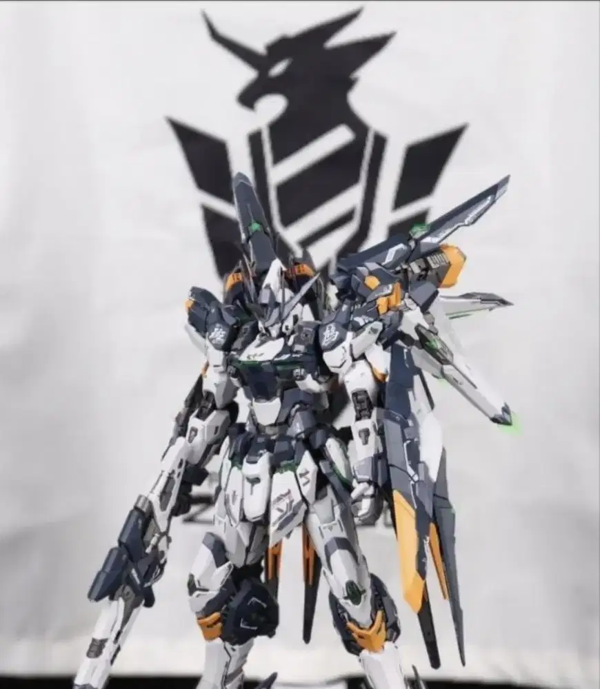 [MISB] DLKHOBBY 1/100 ZAW-S01 Ikaruga Model Kit Berserk Fuhrer