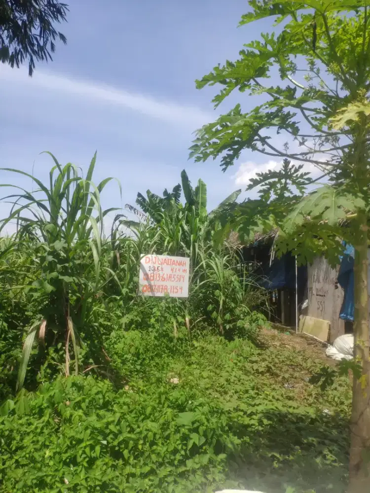 Dijual Tanah Simalingkar B