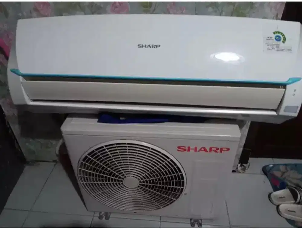 Ac sharp 1/2 pk thailand