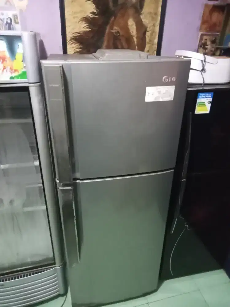 LG jumbo 2 pintu nofros 350 liter