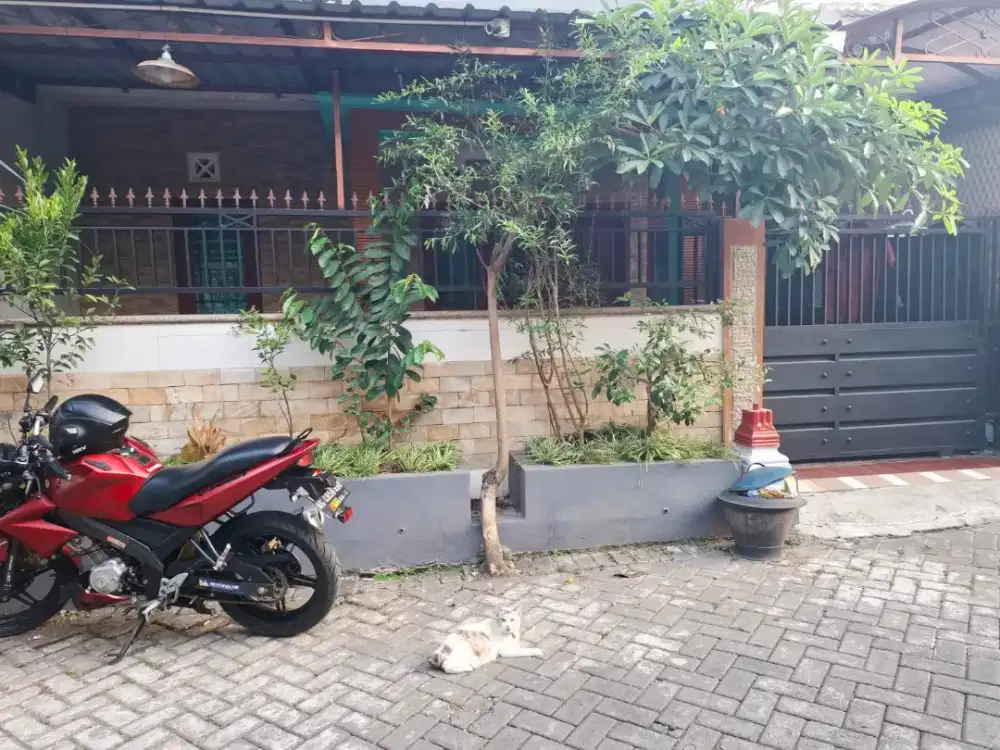 Disewakan Rumah ditengah kota malang